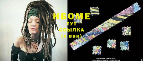 гашик Няндома