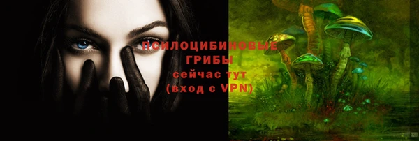 PSILOCYBIN Алексеевка