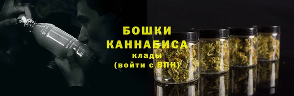 PSILOCYBIN Алексеевка