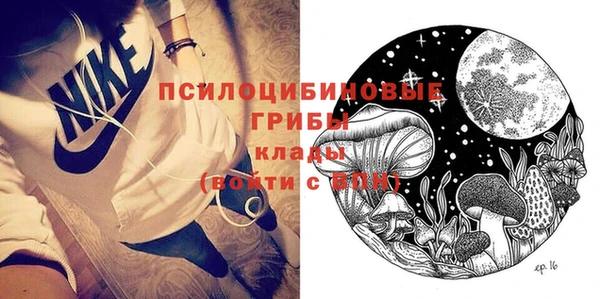 PSILOCYBIN Алексеевка