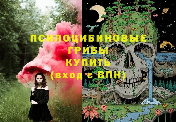 мяу мяу мука Алзамай