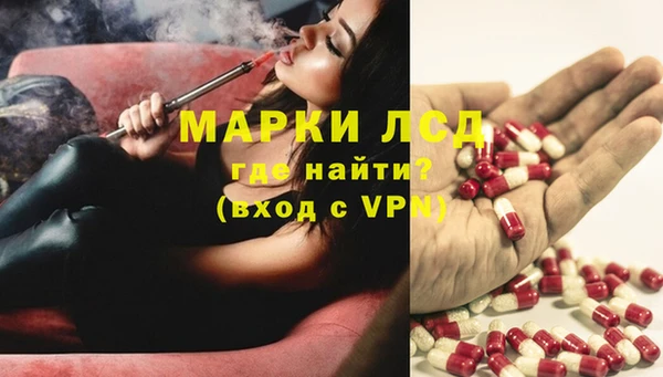 мяу мяу мука Алзамай