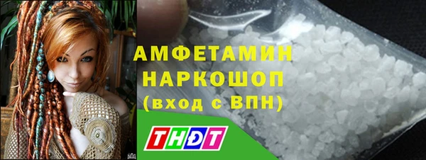 гашик Няндома