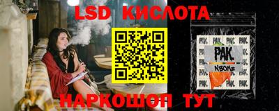 шишки Кимры