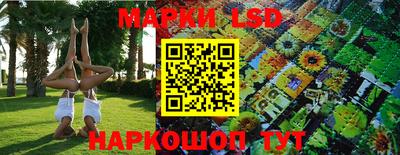 гидропоника Кинель