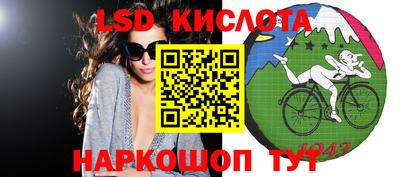шишки Кимры