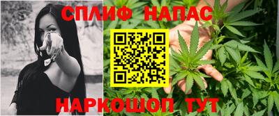 шишки Кимры