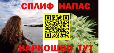 шишки Кимры