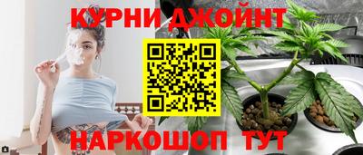 шишки Кимры