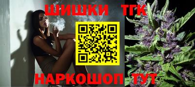 шишки Кимры
