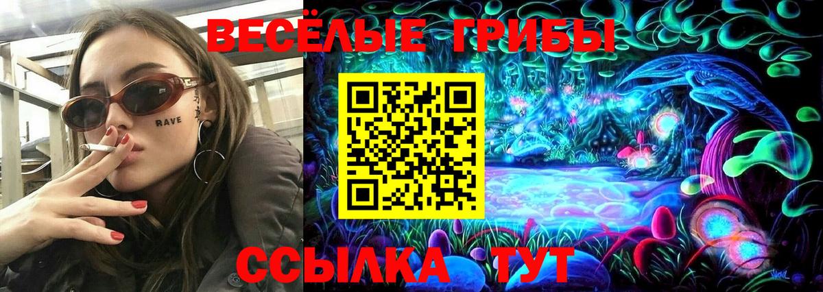 Курчалой  Галлюциногенные грибы мухоморы  Вход с VPN  Псилоцибиновые грибы GOLDEN TEACHER 